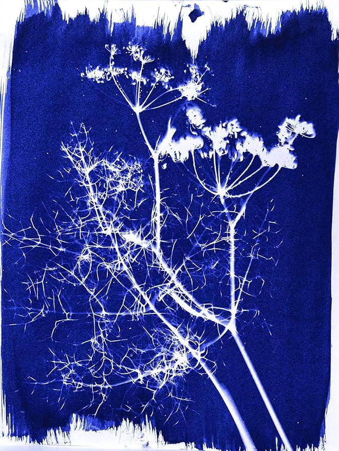 Fabric printing and crochet in Half-Term